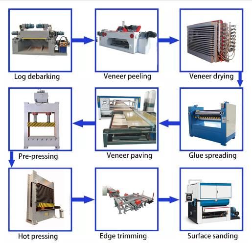 Plywood Production Line Core Veneer Paving Line Forming Machine for Sale