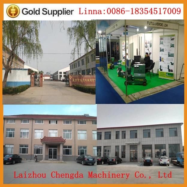 Hot Sell Small Wood Pellet Machinery Price