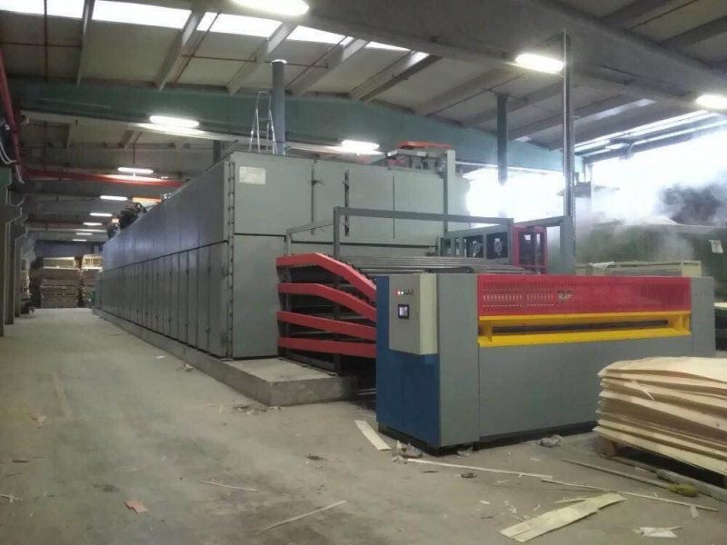 Woodworking Machinery of Veneer Dryer Line Roller Type