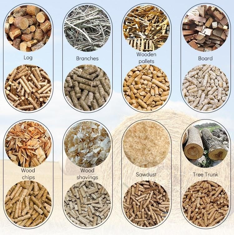 CE Approved High Quality 8-10 T/H Hardwood Pellet Production Line Complete Wood Sawdust Pellet Line Straw Pellet Plant Wood Pellet Production Line