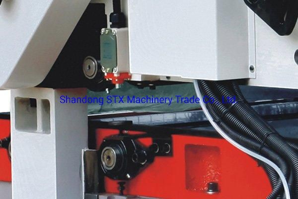 Thickness Planer Woodworking Machinery Double Side with CE on Sale