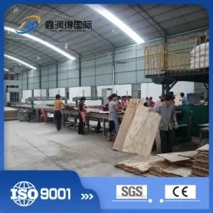 Made in China LVL Cold Press for Wood Processing Machinery