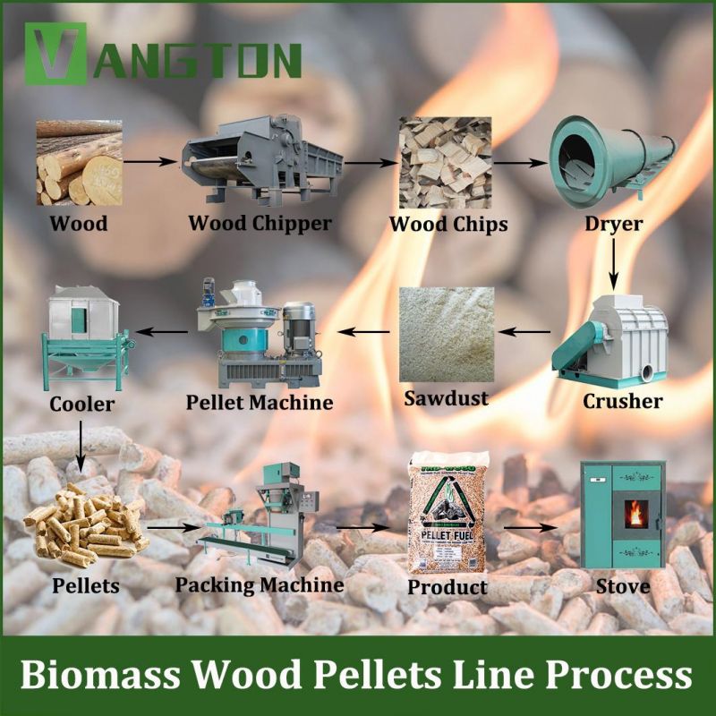 Forest Hardwood Biomass Sawdust Pellet Plant Pellet Press Vertical Horizontal Ring Die Pellet Mill Wood Pellet Line