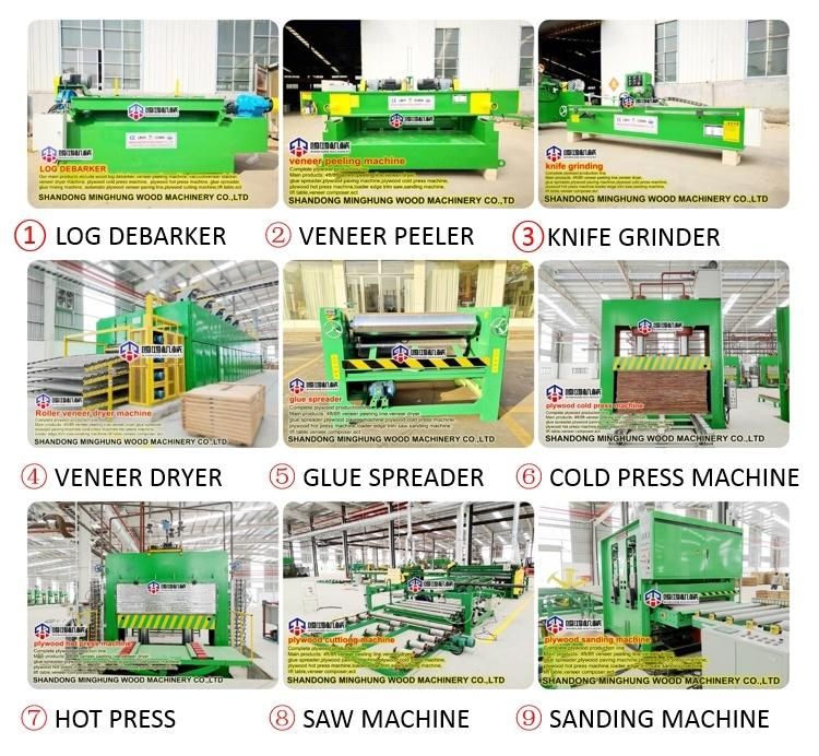 Eucalyptus Rotate Peeling Machine for Cutting Wood Veneer Core