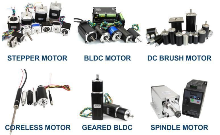 Factory Price 24V 26W 7000 Rpm 0.0625n. M 42mm BLDC Motor with Hall Sensor/Encoder 1000PPR