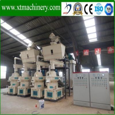Small Invest, Low Price, Steady Output Wood Pellet Machine for Biomass
