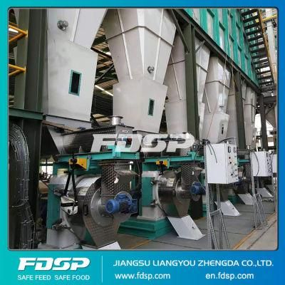 CE ISO SGS Approved Complete Biomass Pellet Production Line