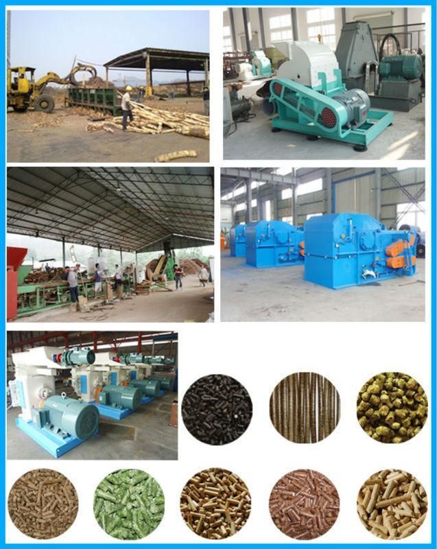 Ring Die Type Sawdust Pelletizer Wood Granulator Machine