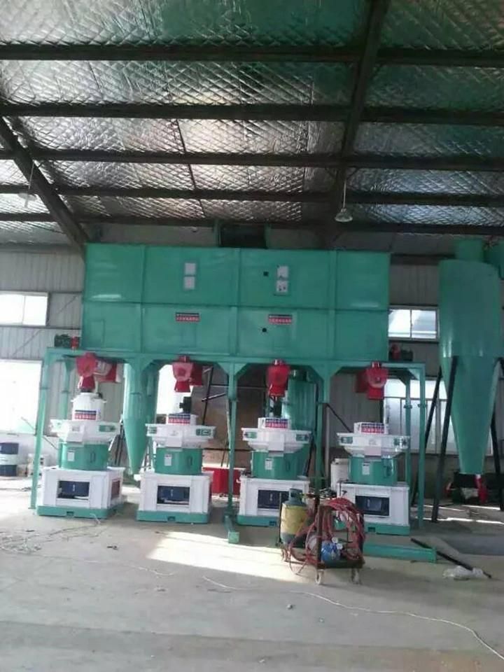 1.5 T/Hour Sunflower Seed Pellet Machine