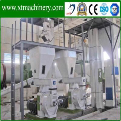 2-3t Per Hour, Stable Performance, Good Quality Pellet Production Line