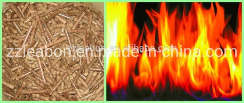 Biomass Wood Sawdust Pellet Mill/Pellet Making Machine
