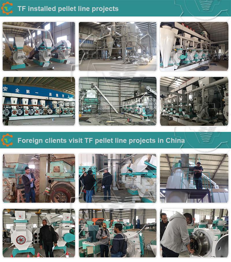 Efb Palm Fiber Sawdust Pellet Machine