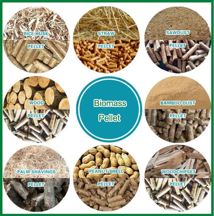 CE ISO SGS Approved Complete Biomass Pellet Production Line