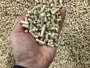 Rotexmaster Indonesia Customer Feedback Rice Husk Flat Die Big Wood Biomass Pellet Machine