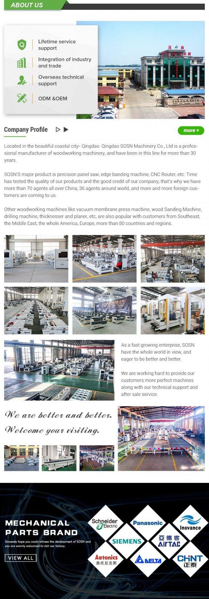 Sanding Machine Wood Sander Manufacturer Door Sanding Machine with CE