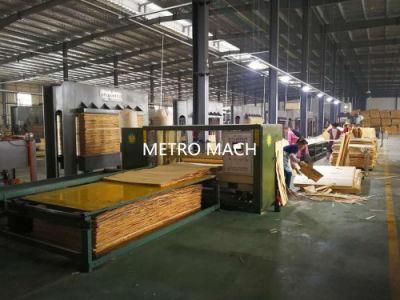 Automatic 30m Plywood Forming Machine