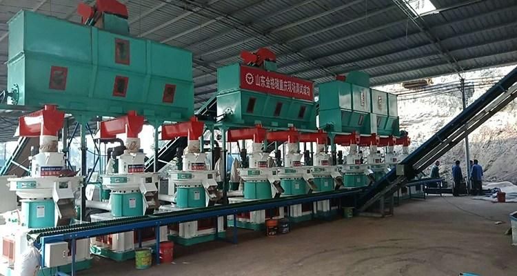 2-3t/H China Biomass Wood Pellet Production Line