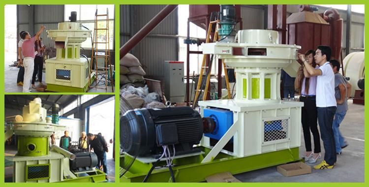 Tony High-Efficiency and Good Service Rubber Wood Sawdust Pellet Pressing Machine Wood Pellet Mill Biomass Pelletizing Machine Chips Pellet Machine Tyj850-II