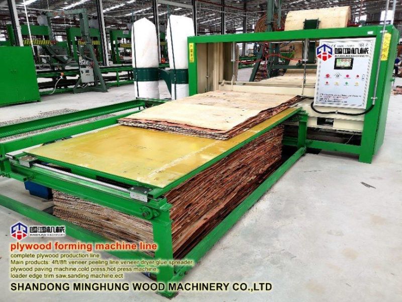 30m Plywood Production Veneer Core Paving Line