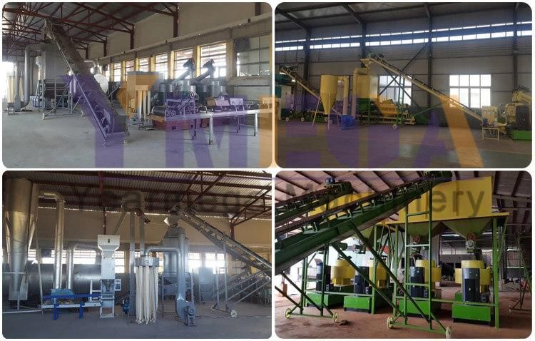 Automatic Biomass Wood Pellet Processing Plant Capacity 300 Kg/Hour