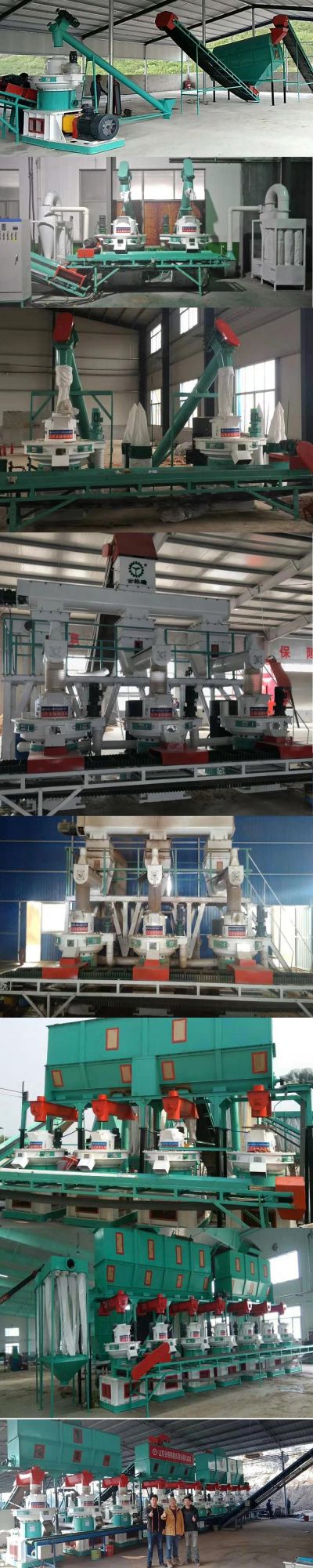 Biomass Wood Pellet Machine 10 Ton/Day with Ce