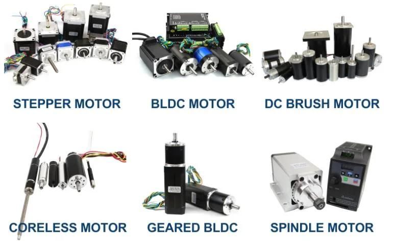 High Endurance Hybrid Ball Screw Linear Stepper Motors with Customized Leadscrews/Nuts