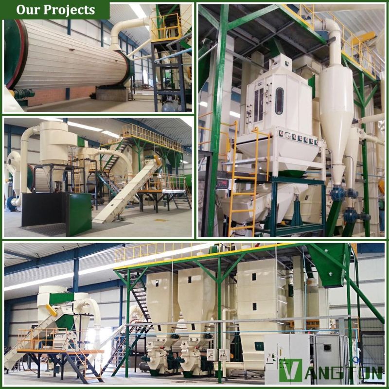 1000-2000 Kg/H Sugarcane Wood Palm Tree Stalk Biomass Pellet Machine Production Line