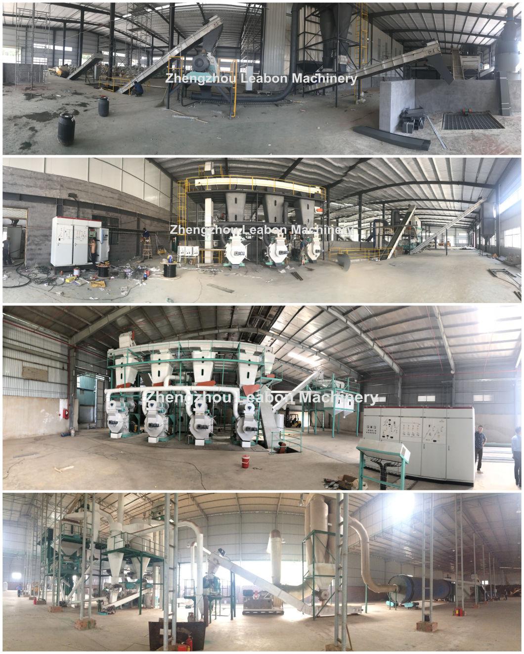 Wood Biomass Pellets Mill with CE Complete Biomass Wood Pellet Production Line Wood Pellet Mill Price for Sale