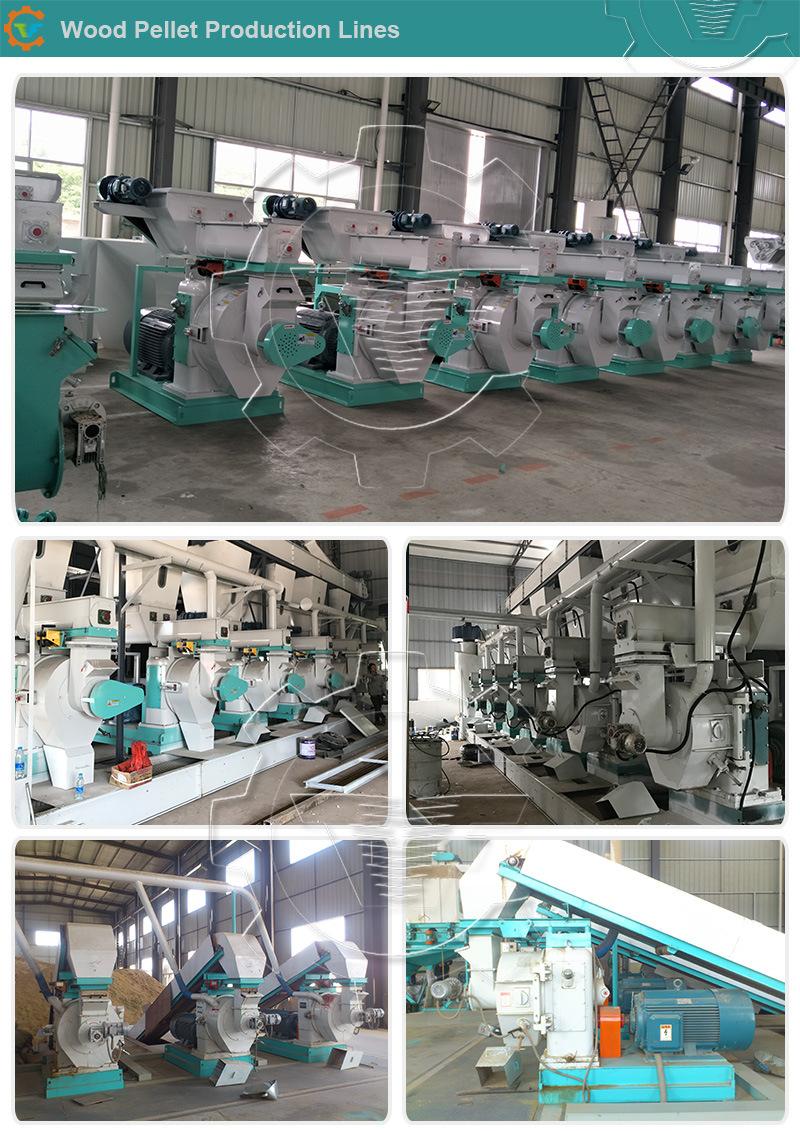 Ring Die Biomass/Wood/Rice Husk/Sawdust Pellet Mill Manufacturers