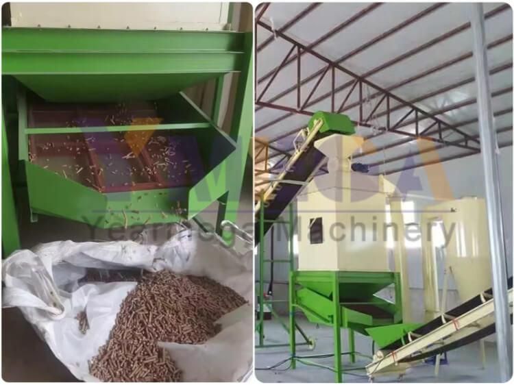 Vertical Ring Die Competitive Coffee Husk Sugarcane Hay Pellet Milling Machine