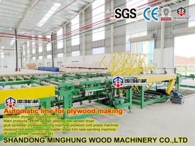 Wide Belt Sander for Plywood Sanding Calibrating Machine