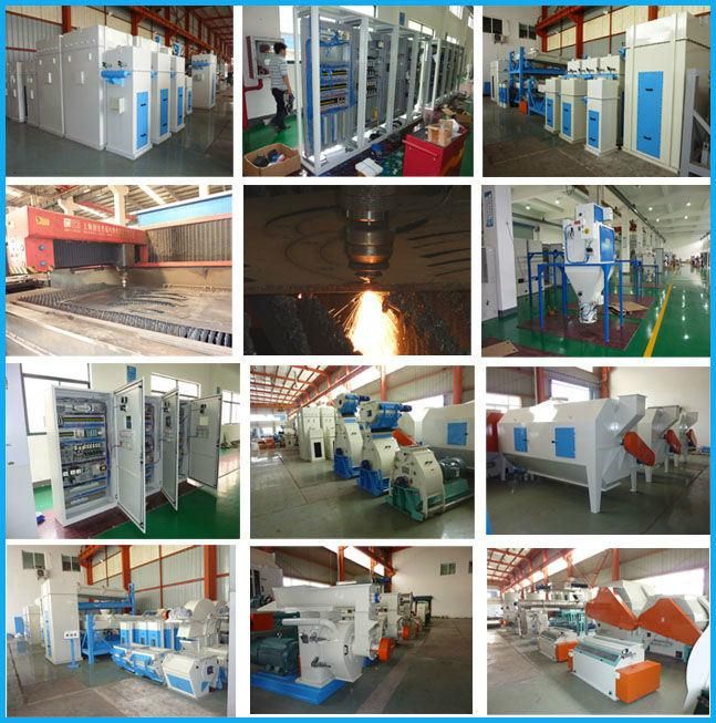 Wood Granulator Machine/Biomass Pellet Mill Line for Sale