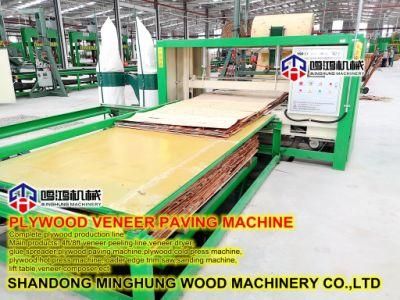 Plywood Veneer Forming Machine for Paving Wood Veneer