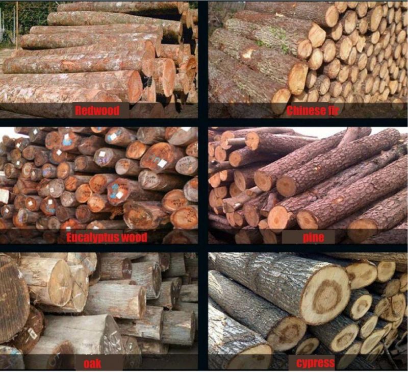 30tons Diesel Wood Processor Log Splitter with, Log Splitter with Self-Contained Log Lifter, Diesel Log Splitter with Log Lifter, Firewood Processor