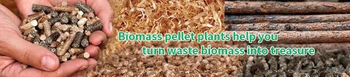 Eucalyptus Pine Wood Pellet Production Line Biomass Pellet Plant