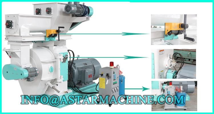 1t/H Capacity Ring Die Biomass Wood Pellet Mill Biomass Pelletizing Machine