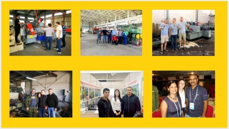 Wood Veneer Manufacturing Machine for Hardwood