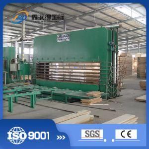 Made in China Veneer LVL Fancy Building Furniture Hot Press