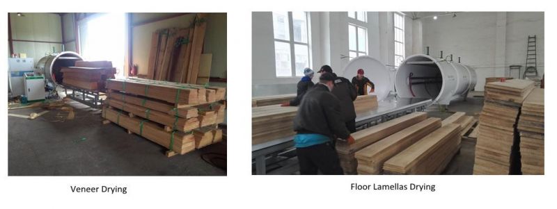Vacuum Wood Drying Chamber with Radio Frequency Generator From Saga