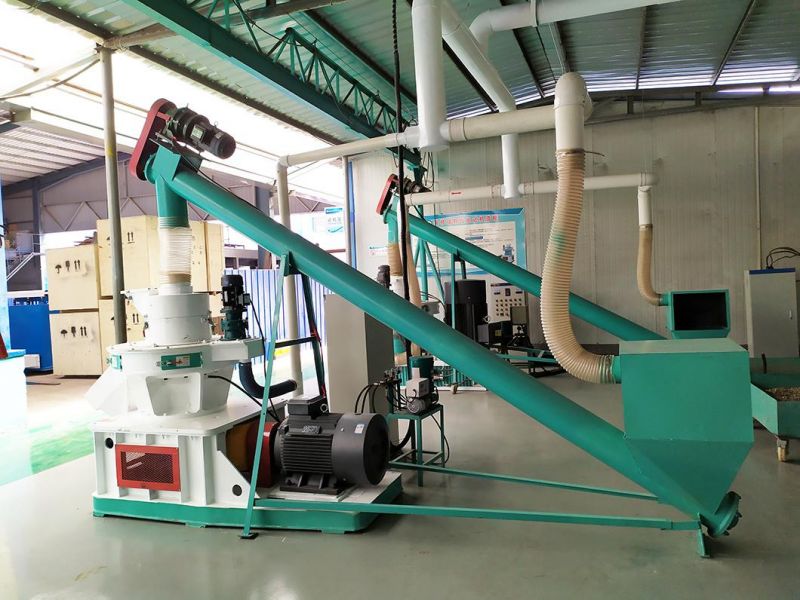 Wood Shaving Sawdust Pellet Machine with SKF Bearing