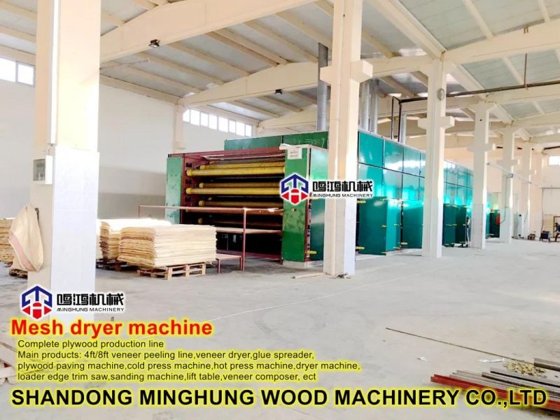 Veneer Drying Line for Mesh Wire Dryer