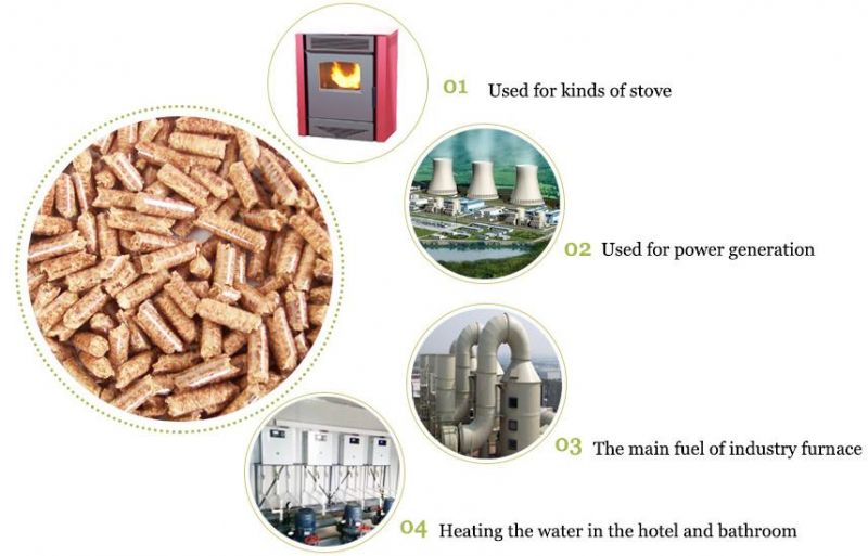 Patent Products Biomass Fuel 6/8/10mm Wood Sawdust Pellet Mill