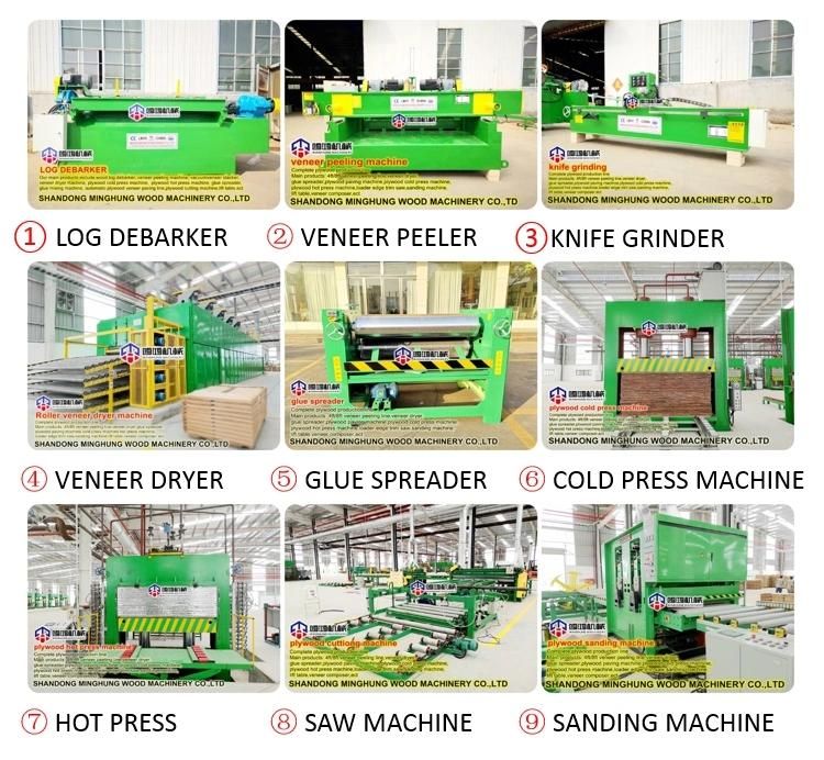 Plywood Production Line Layout Line for Manufacturing Plywood Panel Board