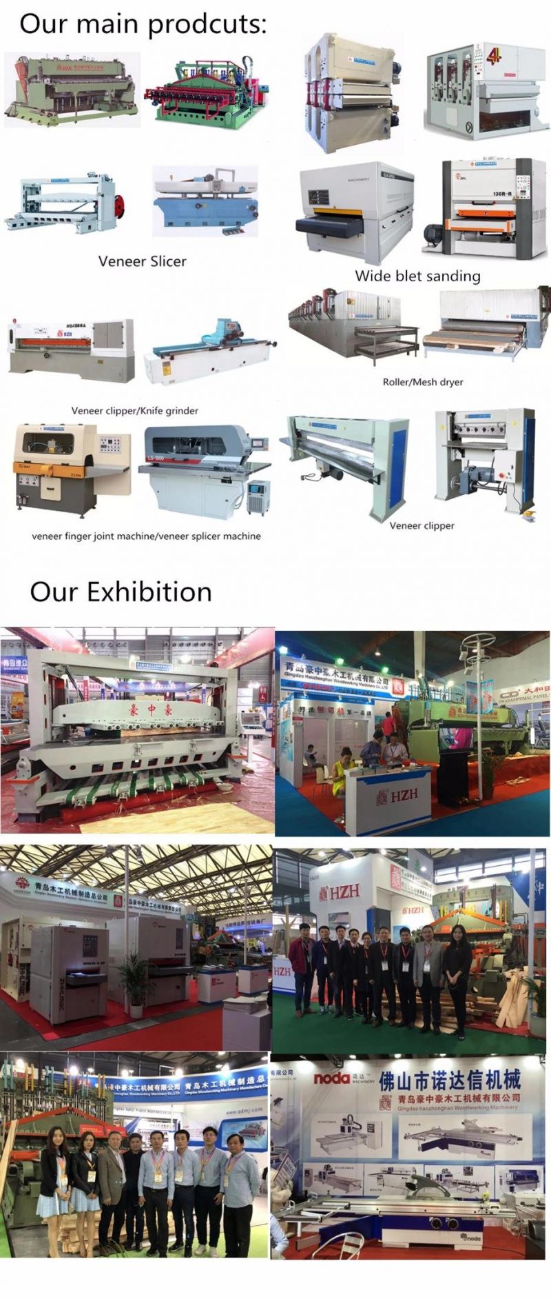 Woodworking Machinery Wood Panel Precise Cutting Sliding Table Machine Panel Saw Machine