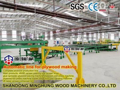 Plywood Sanding Machine with Automatic Roller Conveyor