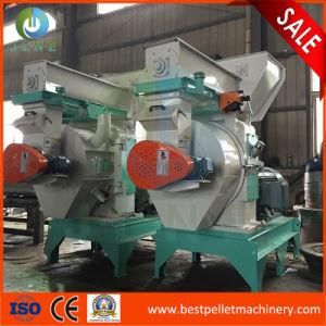 1-3t Palm Kernel Pellet Machine Wood Sawdust Pellet Mill