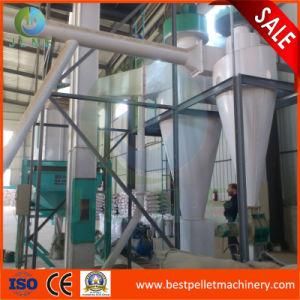 Professional Design Biomass Complete Wood Pellet Line