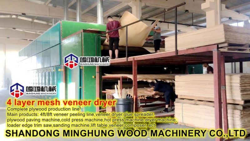 Veneer Drying Line for Mesh Wire Dryer