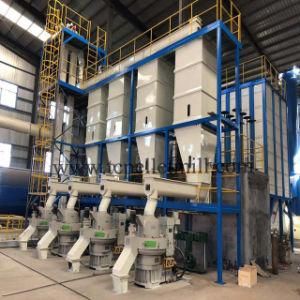 Factory Selling Wood Waste/Rice Husk/Corn Straw Biomass Energy Pellet Making Equipments Pelletizing Mill