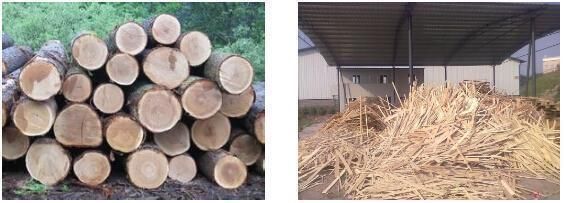 Drum Type Chipper Wood Shredding Machine Equipment for Wood Logs